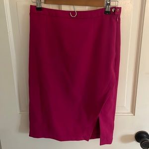 The Limited Women’s Skirt
